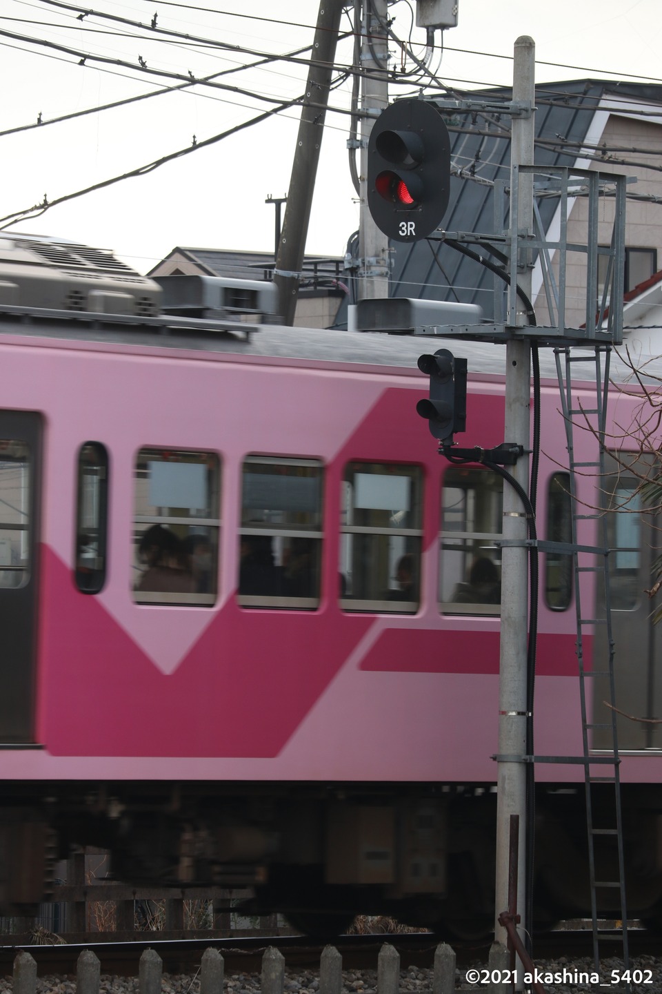 小金城趾駅の信号機と「さくら」