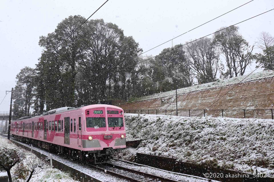 白黒の世界に桃色の電車が現れた