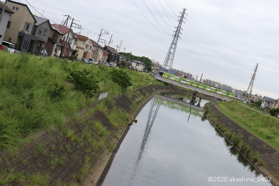 緑あふれる坂川の堤と「若葉」 id=