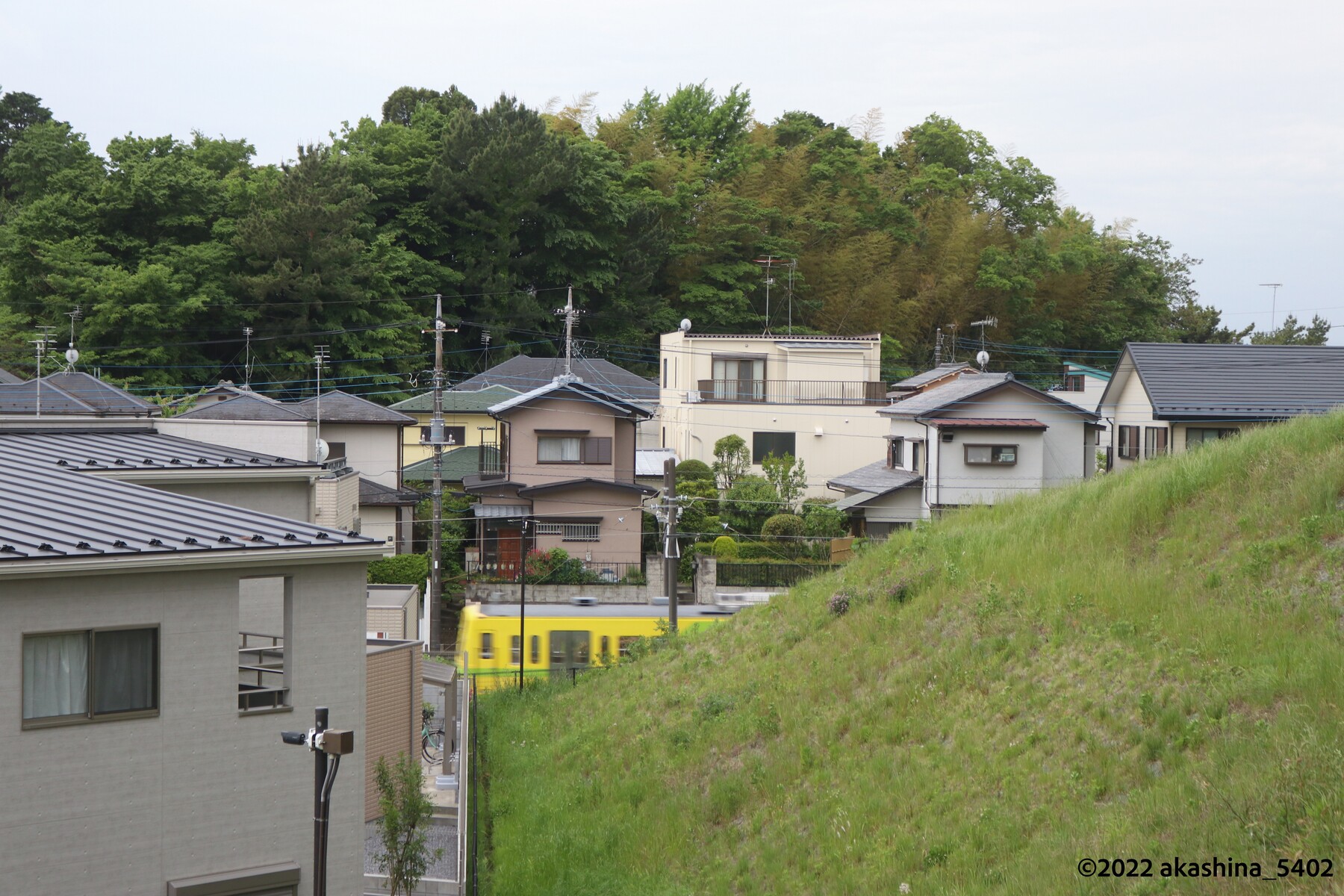 住宅と丘の間に顔を出す流鉄5005編成「なの花」