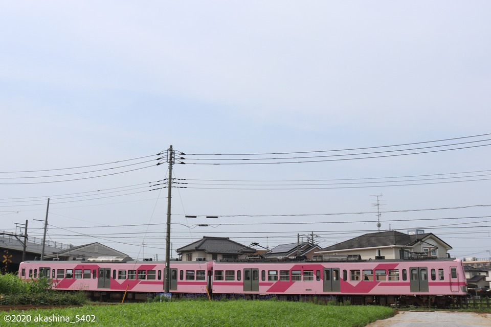 畑と「さくら」と白い空