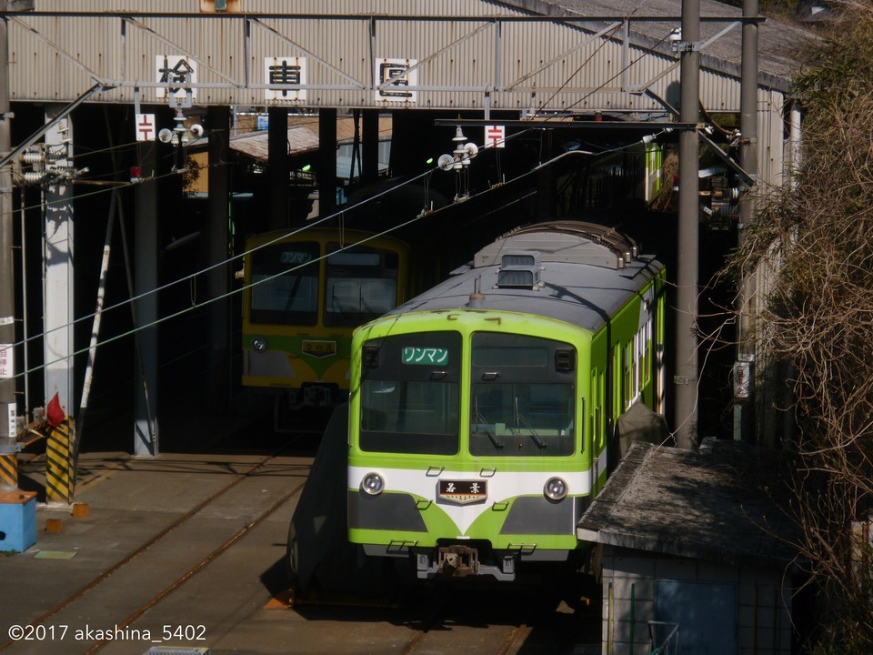 検車区のヌシ「若葉」