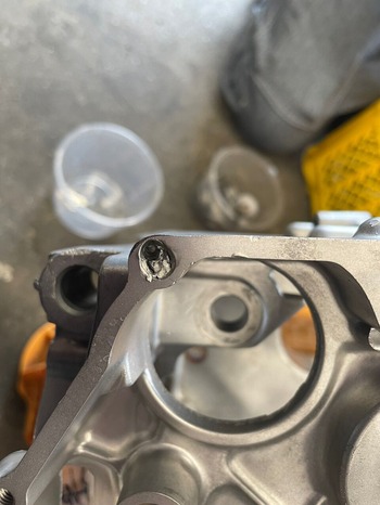 LINE_ALBUM_Ĺë���͡�ʡ�温_230521_2