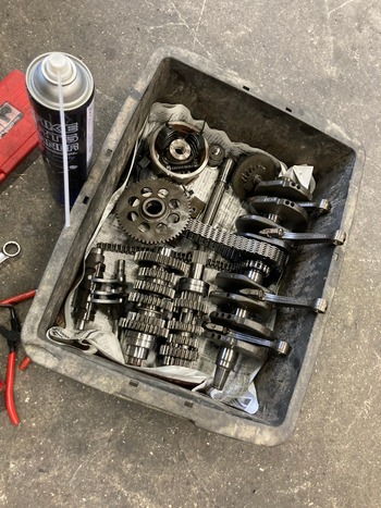 LINE_ALBUM_硡ե륪Сۡ_241123_21