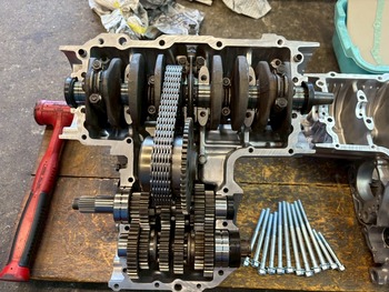 LINE_ALBUM_立石様 セミレストア_251227_25