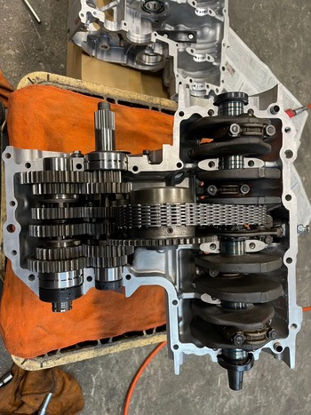 LINE_ALBUM_ フルレス_250105_29