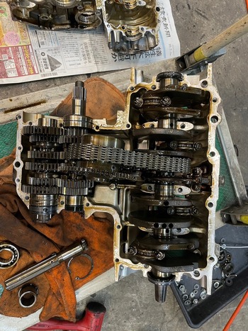 LINE_ALBUM_ フルレス_250105_19