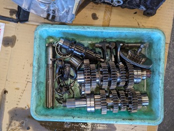 LINE_ALBUM_����ɥ��� ���󥸥�_240705_20