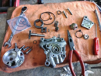 LINE_ALBUM_��ƣ�ͥ��󥸥�ե�OH����¾_231019_102