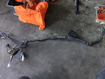 LINE_ALBUM_��ƣ�ͥ��󥸥�ե�OH����¾_231019_119