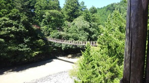 DSC_0569