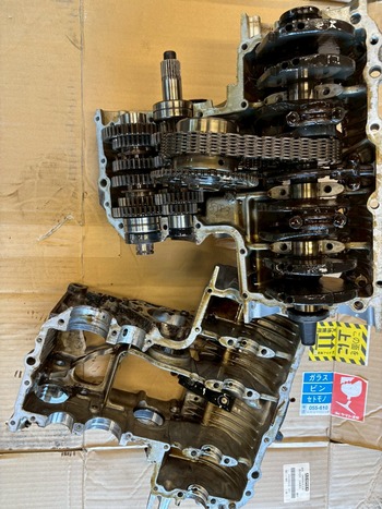 LINE_ALBUM_村上様、秋田県_251029_1