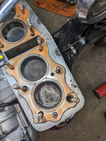 LINE_ALBUM__241128_2