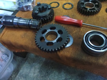 LINE_ALBUM_¼󥸥OH,֥쥿OH,¾_241120_53