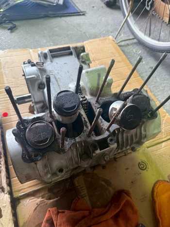 LINE_ALBUM_立石様 セミレストア_251227_13