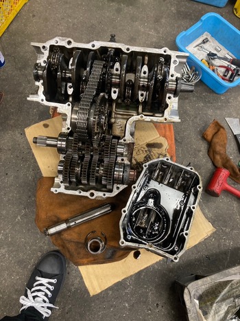 LINE_ALBUM_�ե�쥹�ȥ�_240726_33