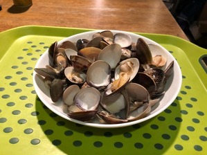 IMG_2581