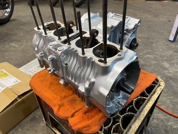 LINE_ALBUM_ フルレス_250105_31