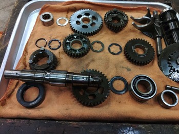 LINE_ALBUM_��ƣ�ͥ��󥸥�ե�OH����¾_231019_75