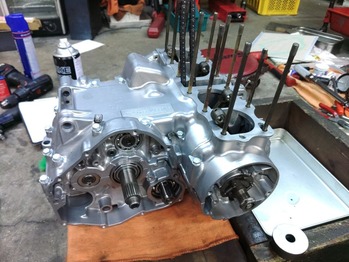 LINE_ALBUM_��ƣ�ͥ��󥸥�ե�OH����¾_231019_88