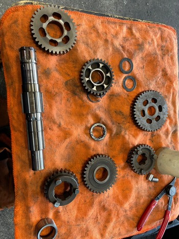 LINE_ALBUM_202367 ������  ����_230703_1