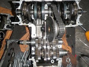 P1013802