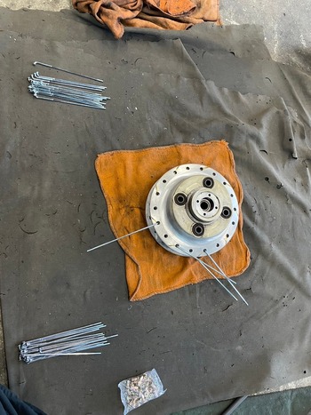 LINE_ALBUM_ フルレス_250105_36