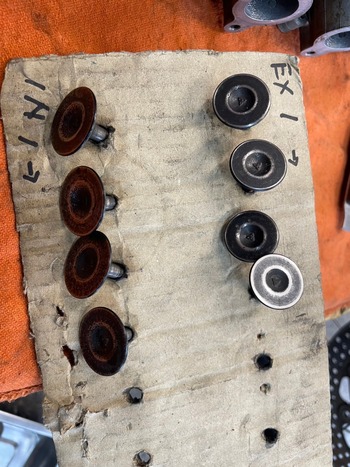 LINE_ALBUM__241128_10