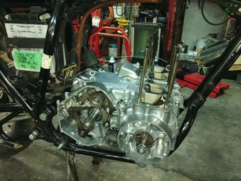 LINE_ALBUM_󥸥OH,֥쥿OH,¾_241120_68