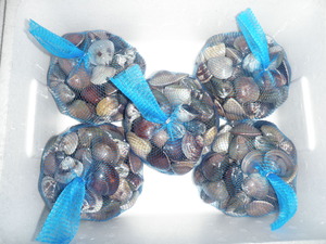 P1017779
