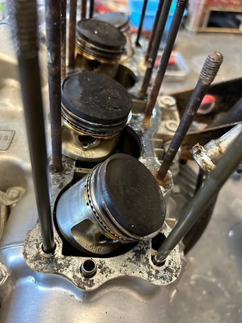 LINE_ALBUM_����ɥ��� ���󥸥�_240705_2