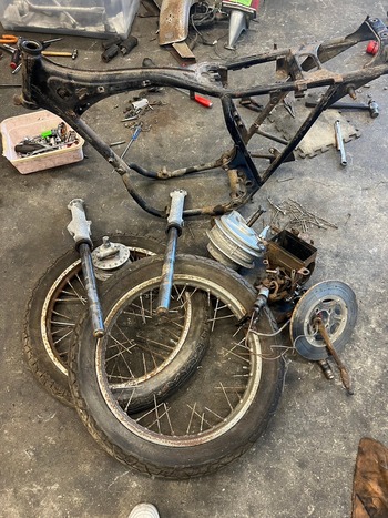 LINE_ALBUM_�ե�쥹�ȥ�_240726_32