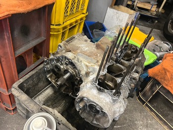 LINE_ALBUM_�ե�쥹�ȥ�_240726_29