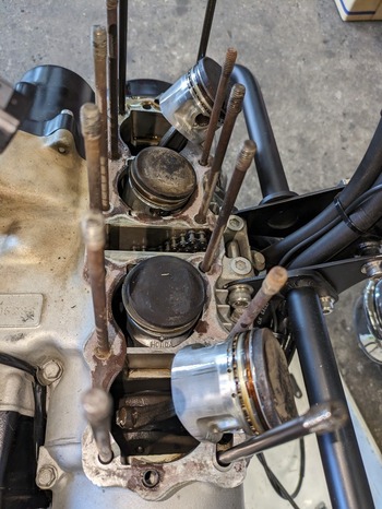 LINE_ALBUM_硡ե륪Сۡ_241123_15