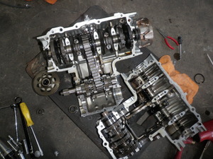 P5224616