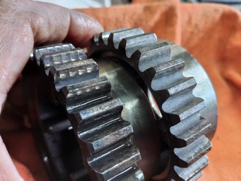 LINE_ALBUM_󥸥OH,֥쥿OH,¾_241120_60