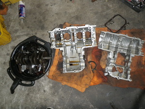 P4174438