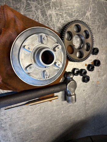 LINE_ALBUM_硡ե륪Сۡ_241123_23