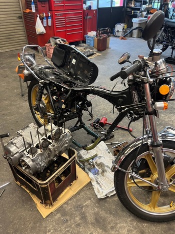 LINE_ALBUM_���󥸥�F�ե�����OH._240713_16