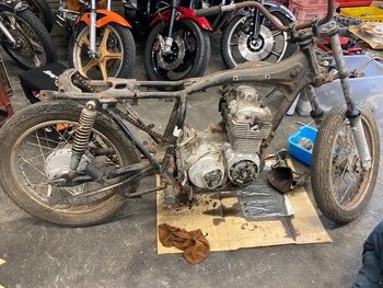 LINE_ALBUM_�ե�쥹�ȥ�_240726_19