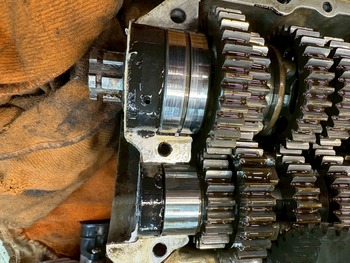 LINE_ALBUM_�����͡�����������ϳ�콤��_251106_9