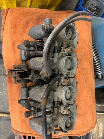 LINE_ALBUM_�ե�쥹�ȥ�_240726_20