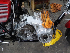 DSCN1649
