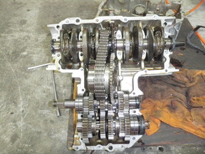 PB153481