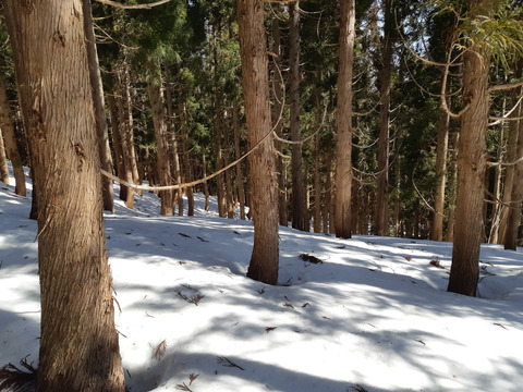 20190223_125512