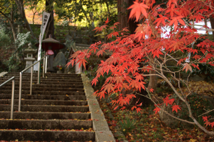 福知山市 長安寺 の紅葉 走るおやじ Oyaji Company 豊岡より