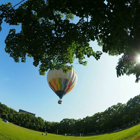 IMG_20190707_081353_971