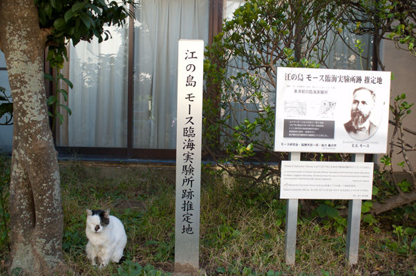イメージ 4