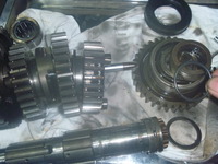 1273169b.jpg