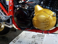55977f65.jpg